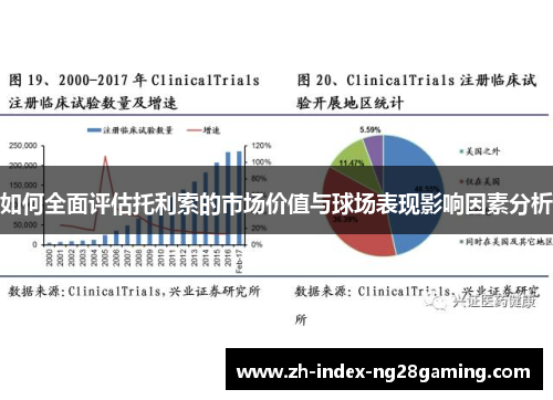 如何全面评估托利索的市场价值与球场表现影响因素分析 如何全面评估托利索的市场价值与球场表现影响因素分析