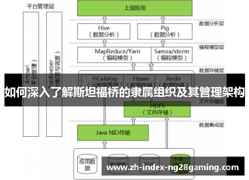 如何深入了解斯坦福桥的隶属组织及其管理架构